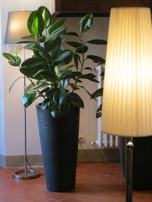 Toscanelli Residenza D'Epoca Florence Buitenkant foto